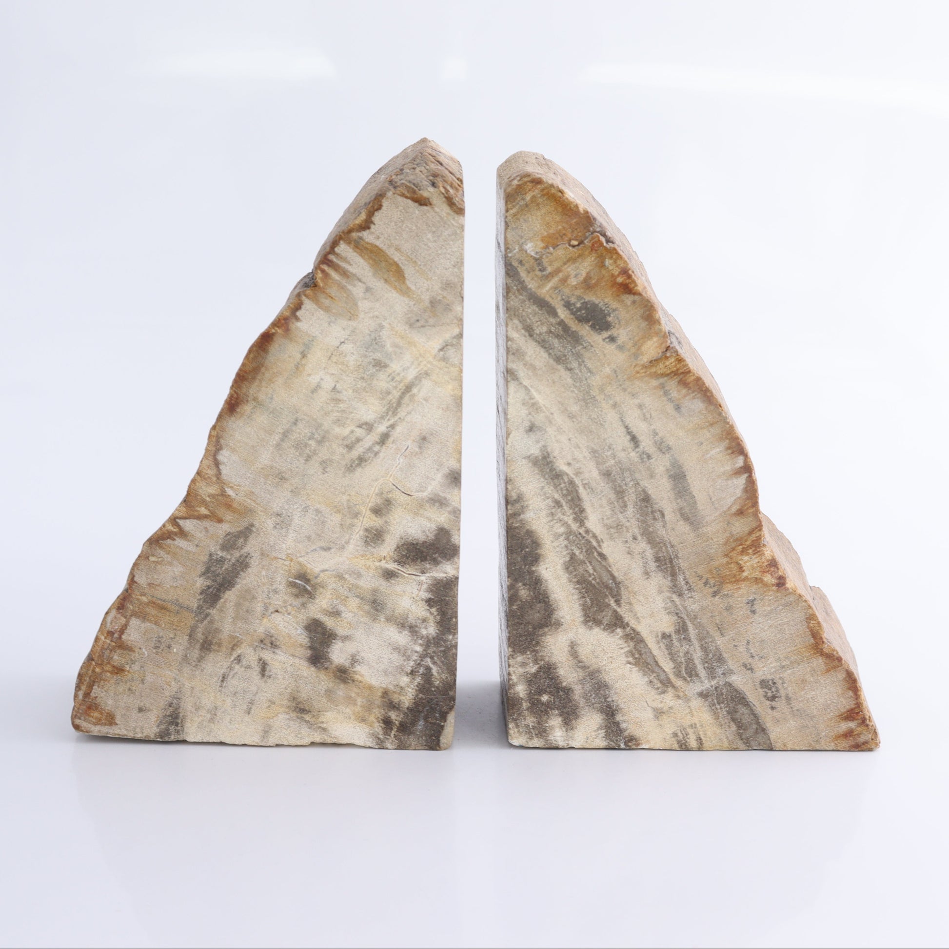 Bookends Petrified Wood - Expert Wholesale and Supplier of Wholesale Crystals & Bulk Gemstones, ["Bookends","Indonesia","Petrified Wood"]