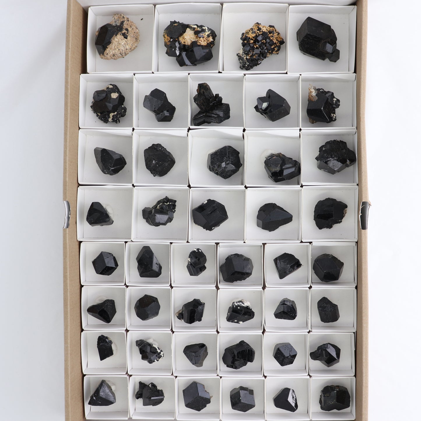 Black Tourmaline Roughs Set of 43