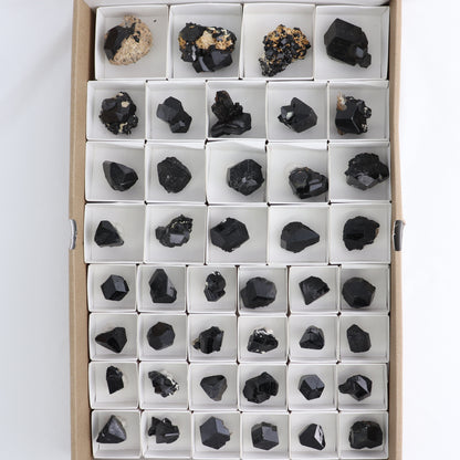 Black Tourmaline Roughs Set of 43