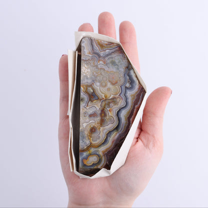 Crazy Lace Agate Flat of 12 - Expert Wholesale and Supplier of Wholesale Crystals & Bulk Gemstones, ["Crazy Lace Agate","Mexico"]