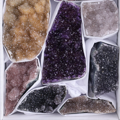 Uruguay Rainbow Amethyst Clusters Flat of 11 - Expert Wholesale and Supplier of Wholesale Crystals & Bulk Gemstones, ["Amethyst","Clusters","Rainbow Amethyst","Sugar Rainbow Amethyst","Uruguay"]