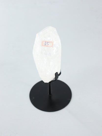 Lemurian on Pin - Expert Vendor of Wholesale Crystals