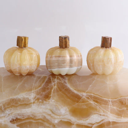 Orange Onyx Pumpkins Set of 6 - Expert Wholesale and Supplier of Wholesale Crystals & Bulk Gemstones, ["Catalog Onyx","Mexico","onyx","Pumpkin"]