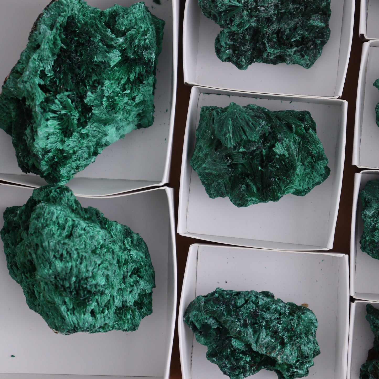 Malachite Flat of 12 - Expert Wholesale and Supplier of Wholesale Crystals & Bulk Gemstones, ["Congo","Flats","Malachite"]