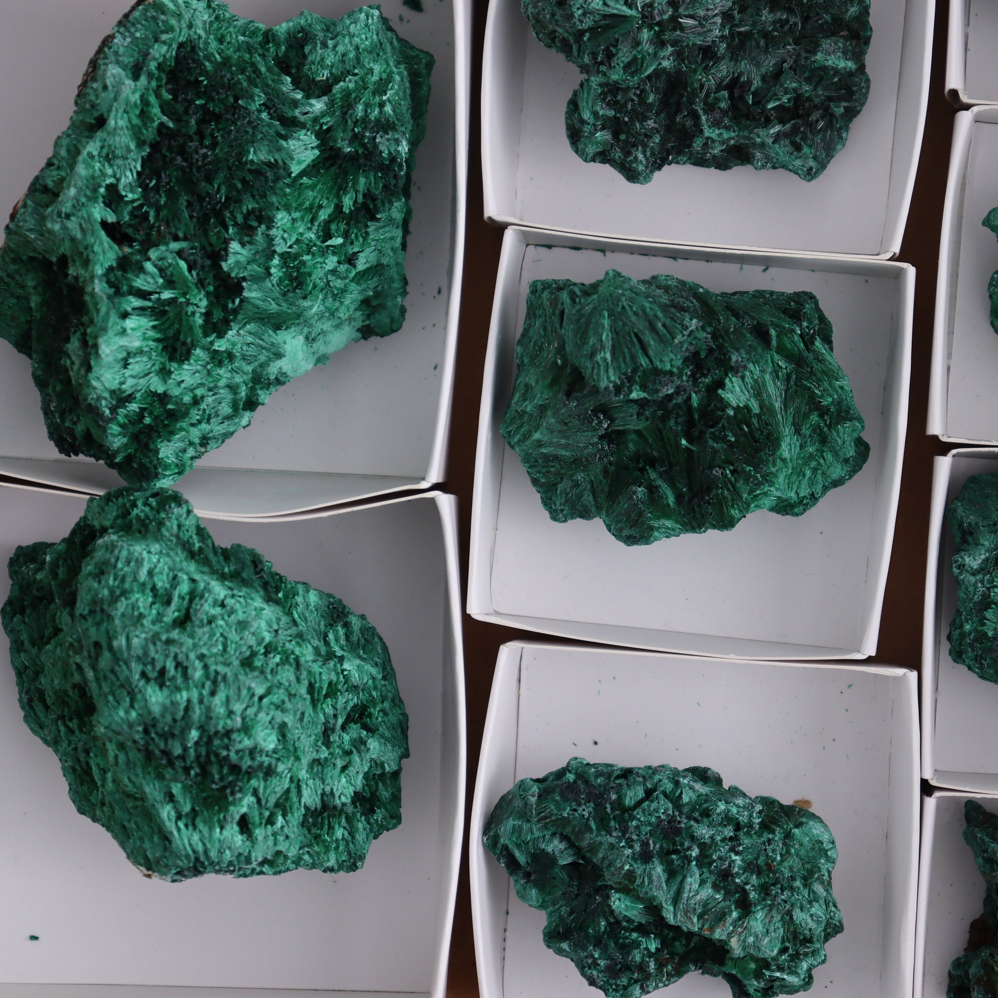 Malachite Flat of 12 - Expert Wholesale and Supplier of Wholesale Crystals & Bulk Gemstones, ["Congo","Flats","Malachite"]