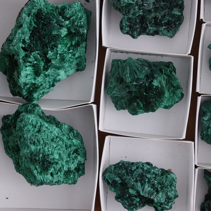 Malachite Flat of 12 - Expert Wholesale and Supplier of Wholesale Crystals & Bulk Gemstones, ["Congo","Flats","Malachite"]