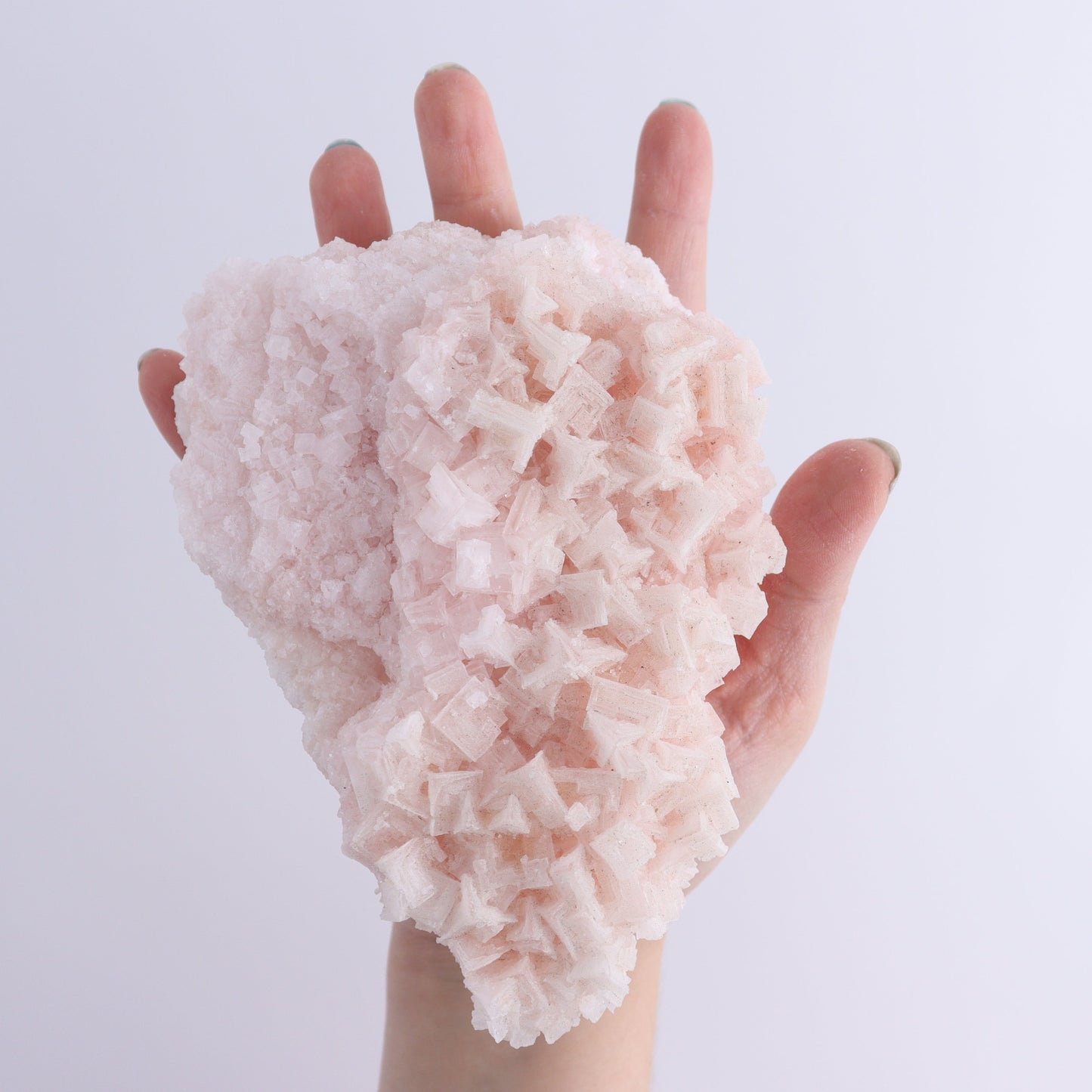 Pink Halite Set of 6 - Expert Wholesale and Supplier of Wholesale Crystals & Bulk Gemstones, ["Flats","Halite","Pink Halite","United States"]