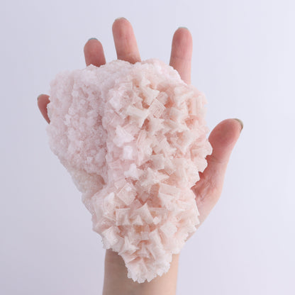 Pink Halite Set of 6 - Expert Wholesale and Supplier of Wholesale Crystals & Bulk Gemstones, ["Flats","Halite","Pink Halite","United States"]