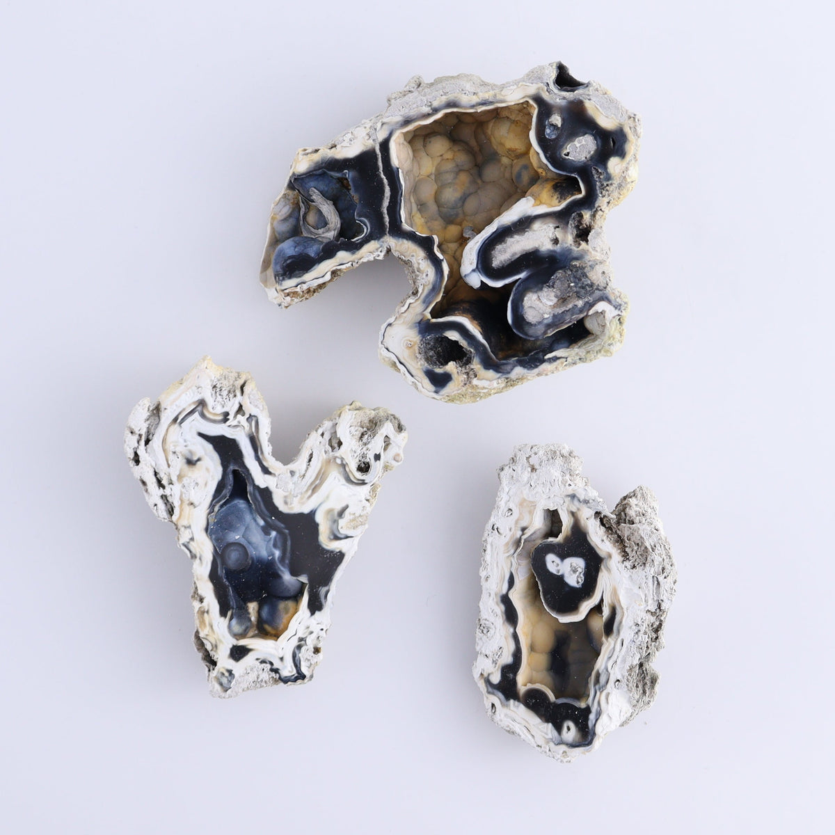 Agatized Coral Flat | Mi Esperanza Minerals | Supplier of Crystals and Onyx