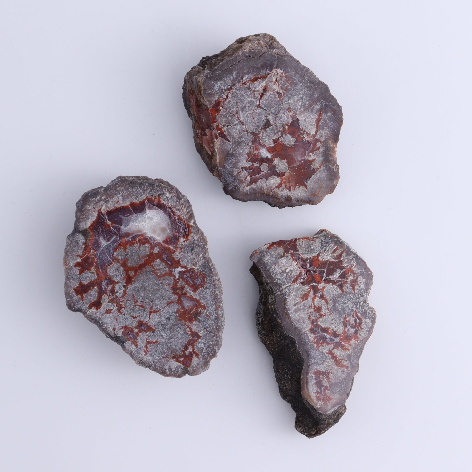 Agate Pseudo. Barite Geodes Flat of 34 - Expert Wholesale and Supplier of Wholesale Crystals & Bulk Gemstones, ["Agate","Agate Pseudo Barite","flat","Flats","Geodes","United States"]