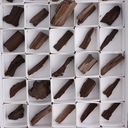 Permineralized Wood Flat of 35 - Expert Wholesale and Supplier of Wholesale Crystals & Bulk Gemstones, ["Flats","Germany","Permineralized Wood"]