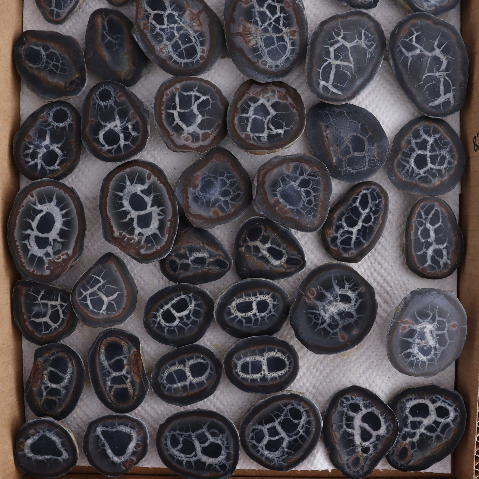 Septarian Geodes Flat - Expert Wholesale and Supplier of Wholesale Crystals & Bulk Gemstones, ["Geodes","Septarian"]