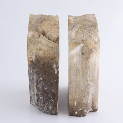 Bookends Petrified Wood - Expert Wholesale and Supplier of Wholesale Crystals & Bulk Gemstones, ["Bookends","Indonesia","Petrified Wood"]