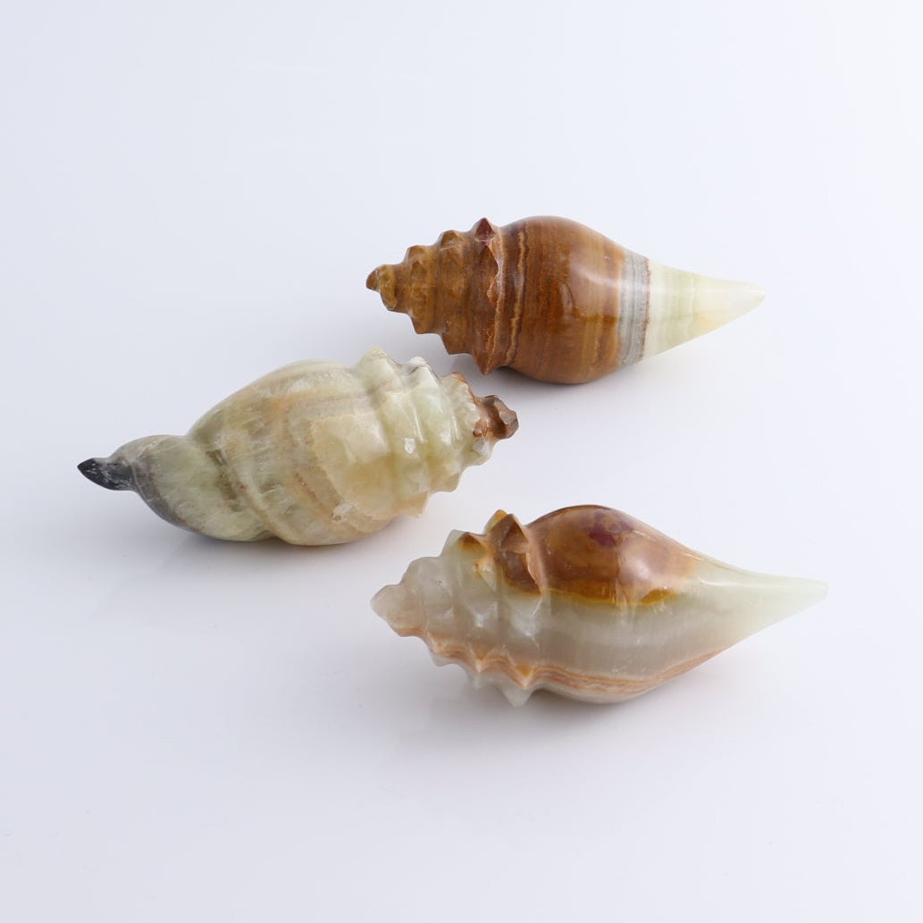 One Mexican Onyx/Calcite Shell Cut Base Green & Brown