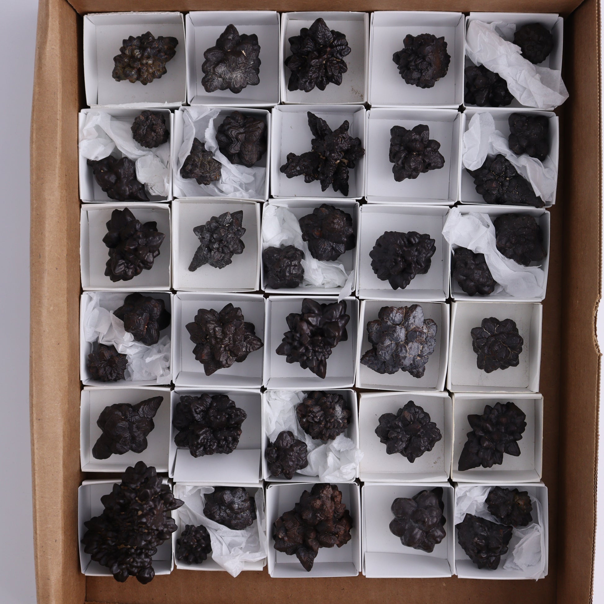 Egyptian Prophecy Stones Flat of 42 - Expert Wholesale and Supplier of Wholesale Crystals & Bulk Gemstones, ["Egypt","Freeforms","Prophecy Stone"]