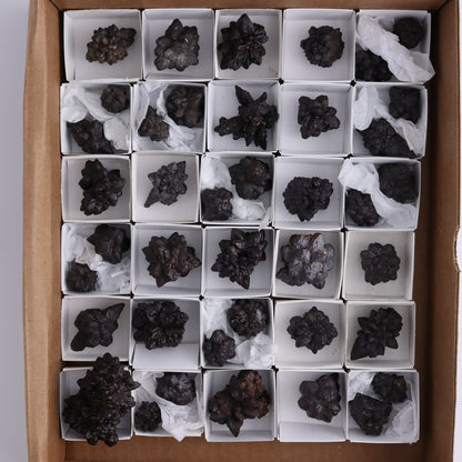 Egyptian Prophecy Stones Flat of 42 - Expert Wholesale and Supplier of Wholesale Crystals & Bulk Gemstones, ["Egypt","Freeforms","Prophecy Stone"]