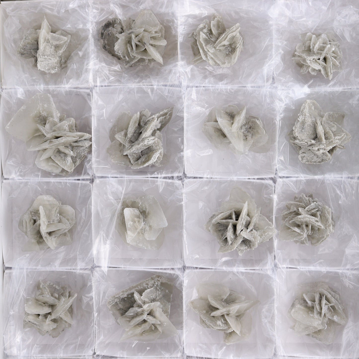 Selenite Clusters Set of 24 - Expert Wholesale and Supplier of Wholesale Crystals & Bulk Gemstones, ["Clusters","selenite"]