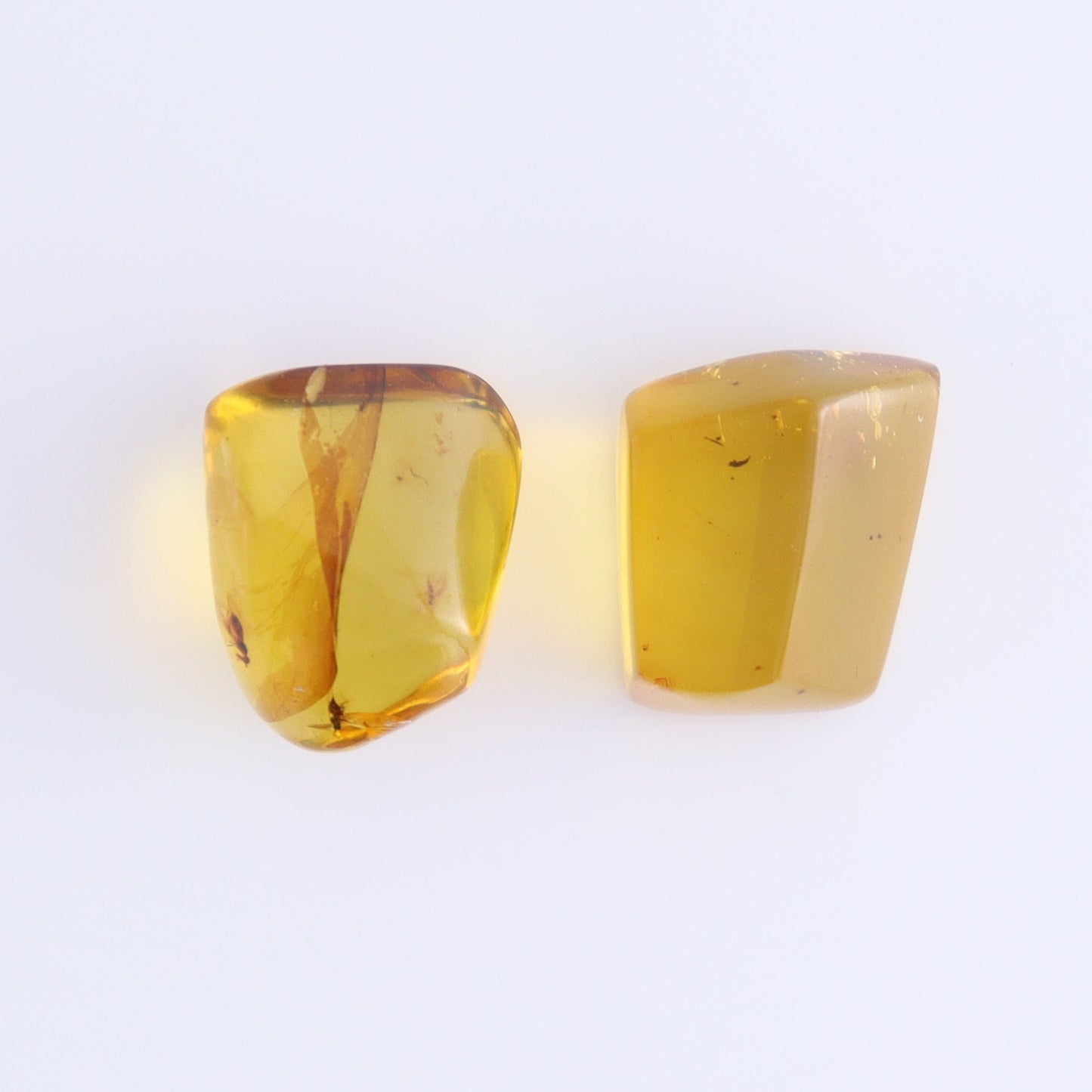 Chiapas Mexico Amber Freeforms Set of 8 - Expert Wholesale and Supplier of Wholesale Crystals & Bulk Gemstones, ["Amber","Chiapas Amber","Freeform","Freeforms","Mexico"]
