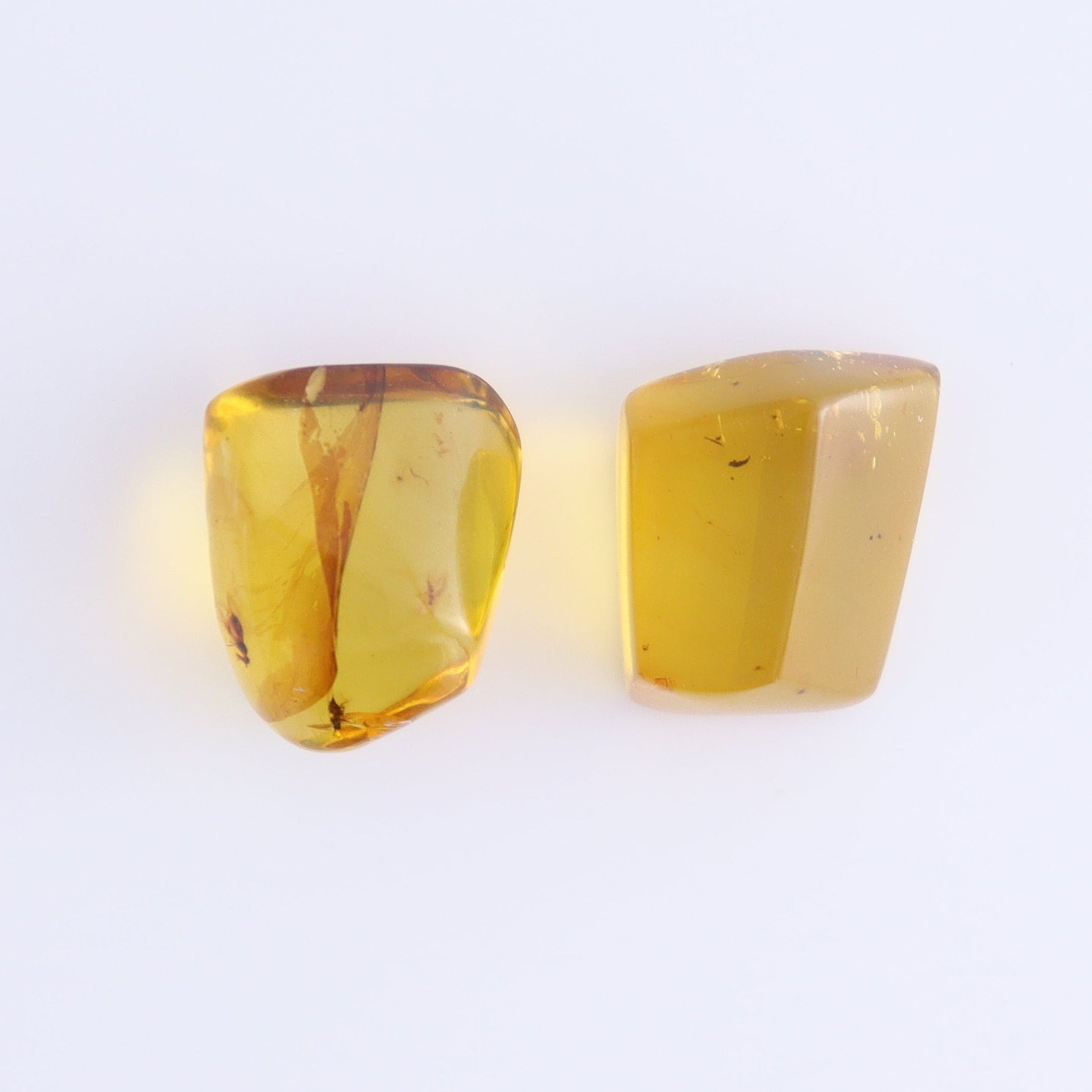 Chiapas Mexico Amber Freeforms Set of 8 - Expert Wholesale and Supplier of Wholesale Crystals & Bulk Gemstones, ["Amber","Chiapas Amber","Freeform","Freeforms","Mexico"]
