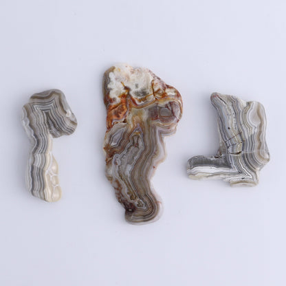 Agate Slices Set of 5 - Expert Wholesale and Supplier of Wholesale Crystals & Bulk Gemstones, ["Agate","Slices and Slabs"]