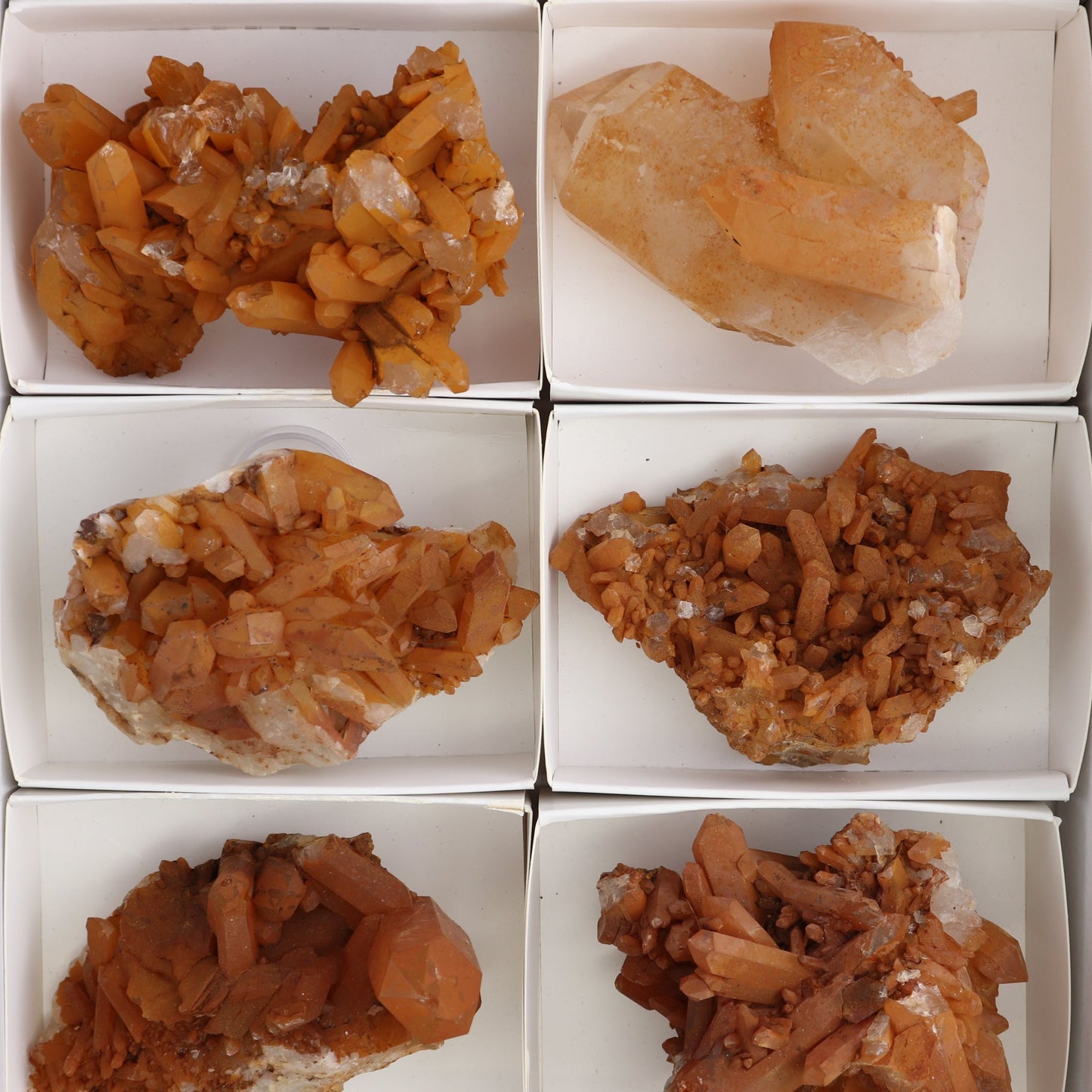 Dark Tangerine Quartz Clusters Set of 8 - Expert Wholesale and Supplier of Wholesale Crystals & Bulk Gemstones, ["Clusters","Quartz","Tangerine Quartz"]
