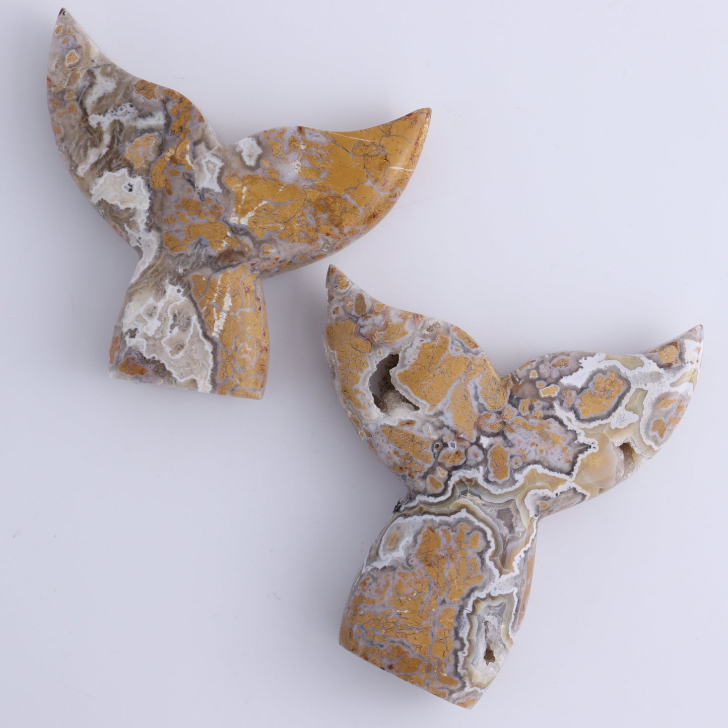 Brecciated Jasper Mermaid Tails Set of 6 - Expert Wholesale and Supplier of Wholesale Crystals & Bulk Gemstones, ["Brecciated Jasper","Indonesia","Mermaid Tail"]