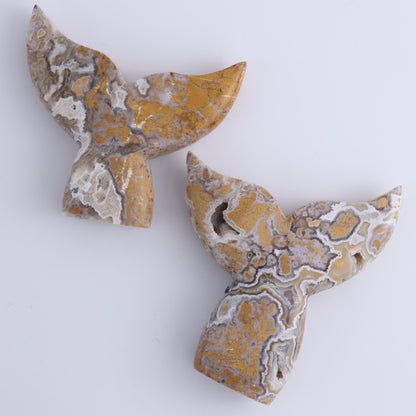 Brecciated Jasper Mermaid Tails Set of 6 - Expert Wholesale and Supplier of Wholesale Crystals & Bulk Gemstones, ["Brecciated Jasper","Indonesia","Mermaid Tail"]