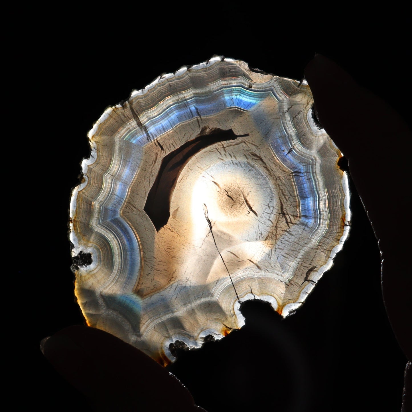 Iris Agate Slices Set of 6 - Expert Wholesale and Supplier of Wholesale Crystals & Bulk Gemstones, ["Agate","Iris Agate","Slices and Slabs"]