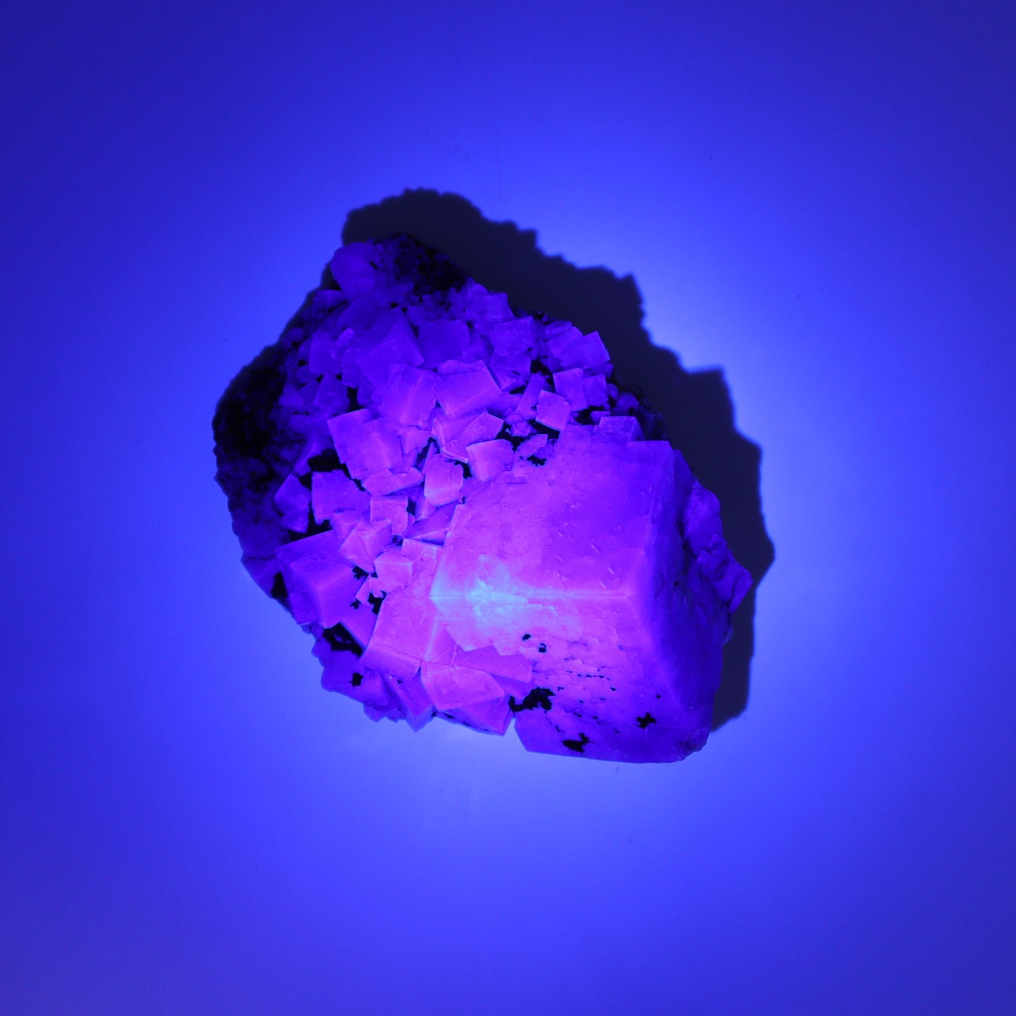 Fluorite Purple Rain Pocket Set of 7 - Expert Wholesale and Supplier of Wholesale Crystals & Bulk Gemstones, ["close_50","England","Fluorite","Purple Rain Pocket","Rough"]