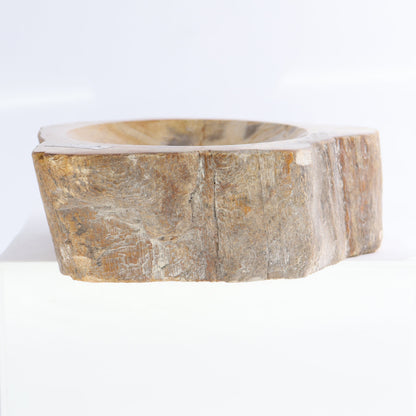 Petrified Wood Bowls Set of 2 - Expert Wholesale and Supplier of Wholesale Crystals & Bulk Gemstones, ["Bowls","Indonesia","Petrified Wood"]
