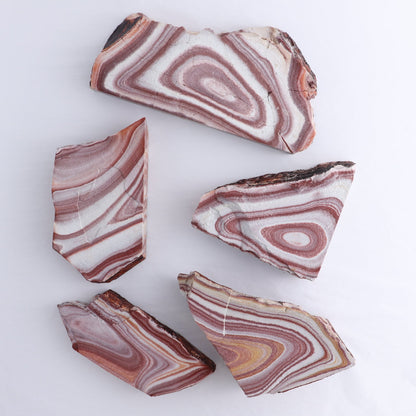 Rhyolite Slabs Set of 5