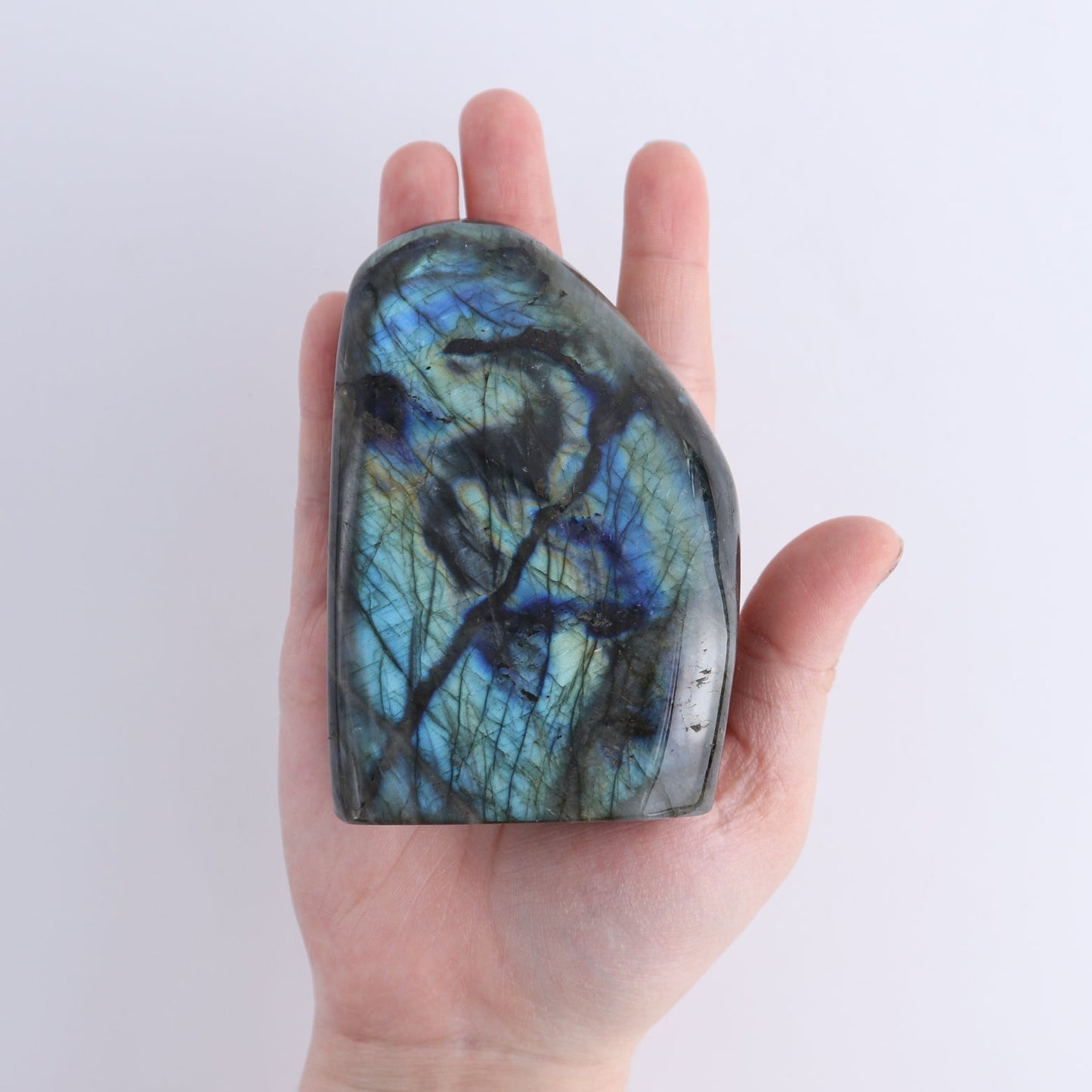 Labradorite Freeform Set of 7