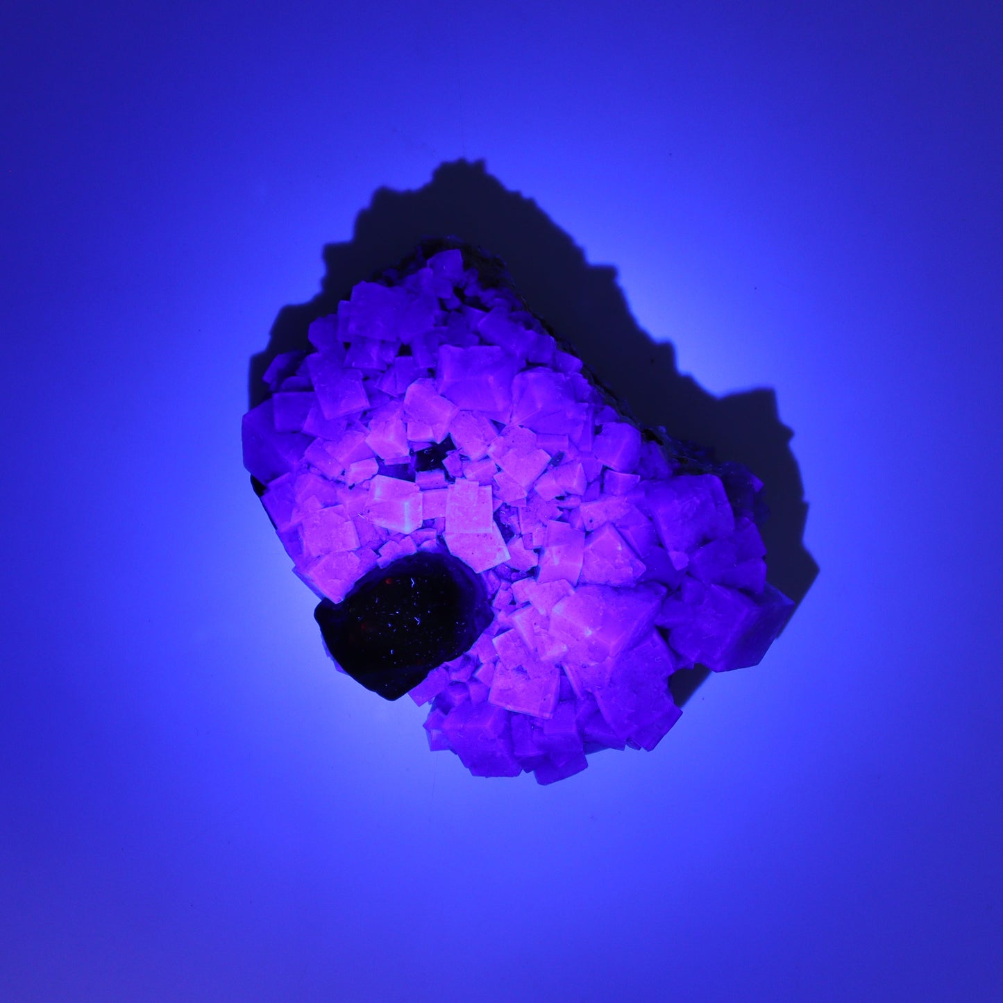 Fluorite Purple Rain Pocket Set of 7 - Expert Wholesale and Supplier of Wholesale Crystals & Bulk Gemstones, ["close_50","England","Fluorite","Purple Rain Pocket","Rough"]