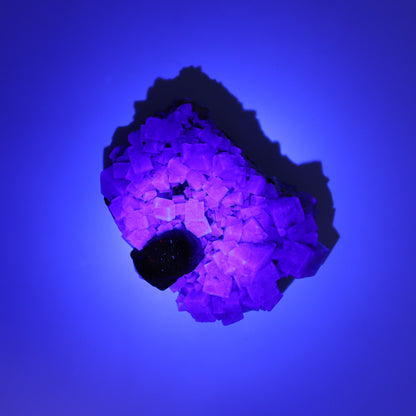 Fluorite Purple Rain Pocket Set of 7 - Expert Wholesale and Supplier of Wholesale Crystals & Bulk Gemstones, ["close_50","England","Fluorite","Purple Rain Pocket","Rough"]