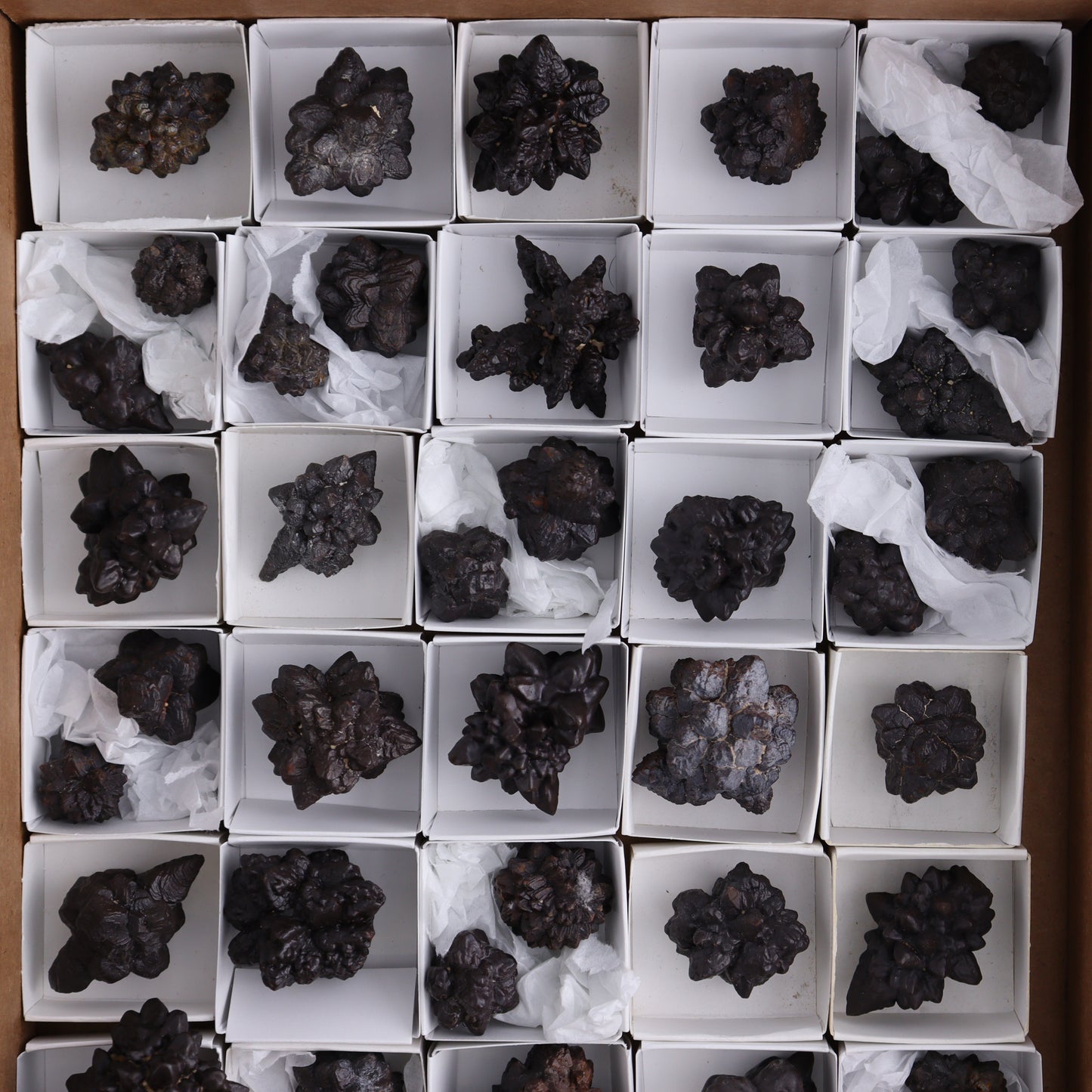Egyptian Prophecy Stones Flat of 42 - Expert Wholesale and Supplier of Wholesale Crystals & Bulk Gemstones, ["Egypt","Freeforms","Prophecy Stone"]