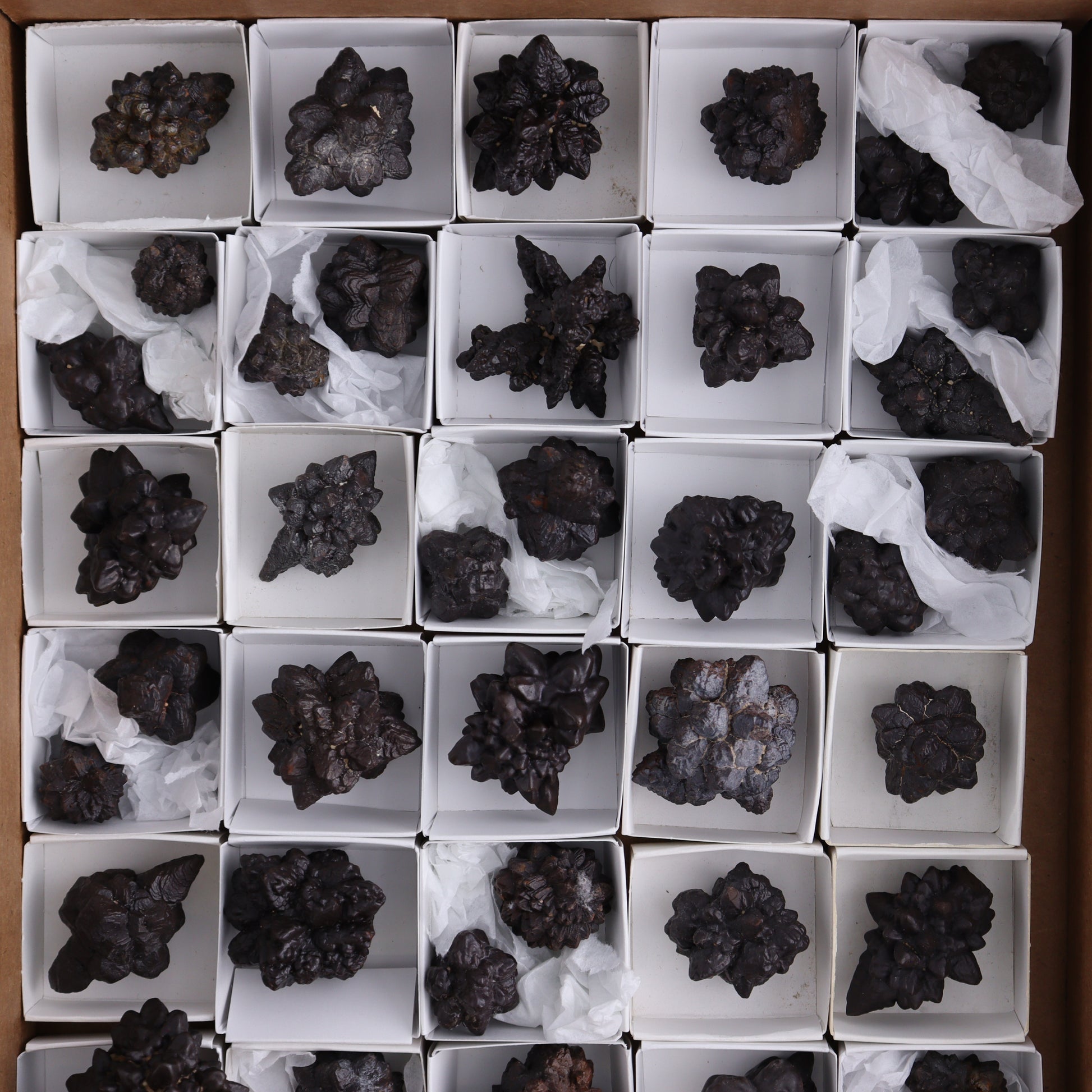 Egyptian Prophecy Stones Flat of 42 - Expert Wholesale and Supplier of Wholesale Crystals & Bulk Gemstones, ["Egypt","Freeforms","Prophecy Stone"]