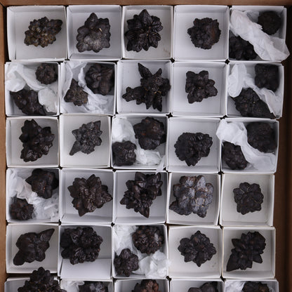 Egyptian Prophecy Stones Flat of 42 - Expert Wholesale and Supplier of Wholesale Crystals & Bulk Gemstones, ["Egypt","Freeforms","Prophecy Stone"]
