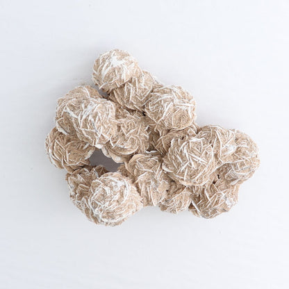 Desert Rose Set of 2