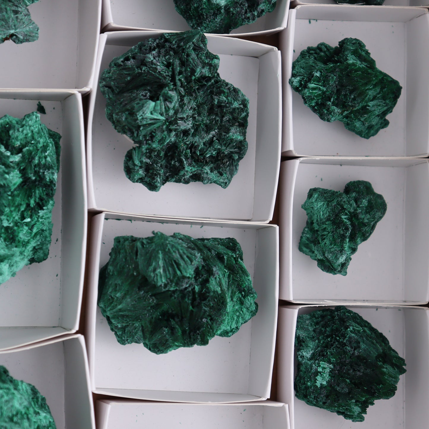 Malachite Flat of 12 - Expert Wholesale and Supplier of Wholesale Crystals & Bulk Gemstones, ["Congo","Flats","Malachite"]