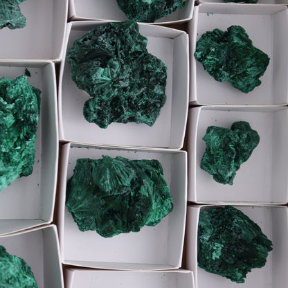 Malachite Flat of 12 - Expert Wholesale and Supplier of Wholesale Crystals & Bulk Gemstones, ["Congo","Flats","Malachite"]