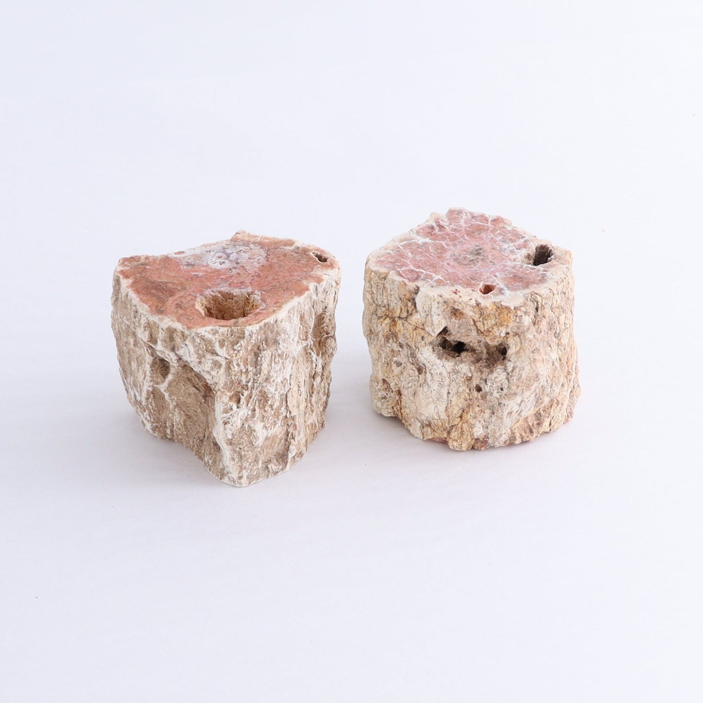 Petrified Wood Cut Bases Set of 10 - Expert Wholesale and Supplier of Wholesale Crystals & Bulk Gemstones, ["Cut Base","Petrified Wood"]