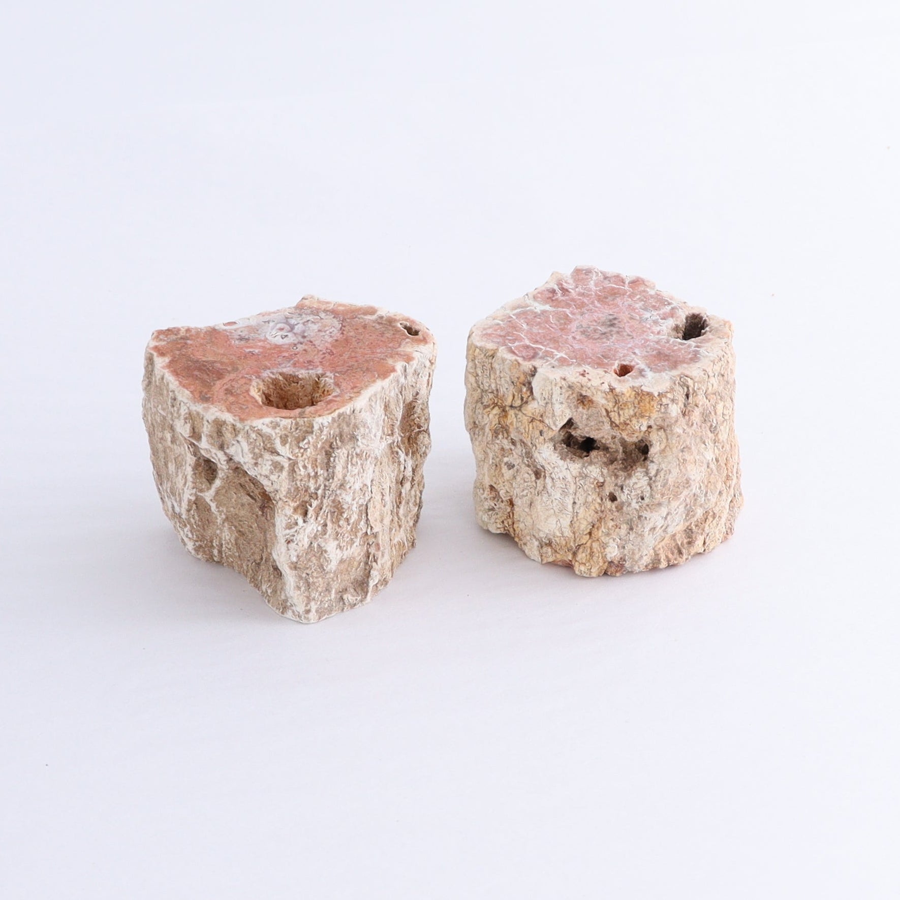 Petrified Wood Cut Bases Set of 10 - Expert Wholesale and Supplier of Wholesale Crystals & Bulk Gemstones, ["Cut Base","Petrified Wood"]