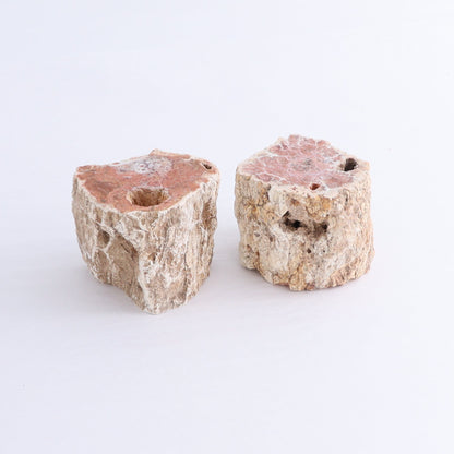 Petrified Wood Cut Bases Set of 10 - Expert Wholesale and Supplier of Wholesale Crystals & Bulk Gemstones, ["Cut Base","Petrified Wood"]