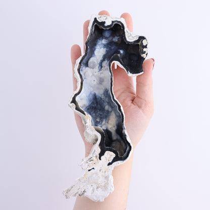 Agatized Coral Flat - Expert Wholesale and Supplier of Wholesale Crystals & Bulk Gemstones, ["Agate","Agatized Coral","Coral","United States"]