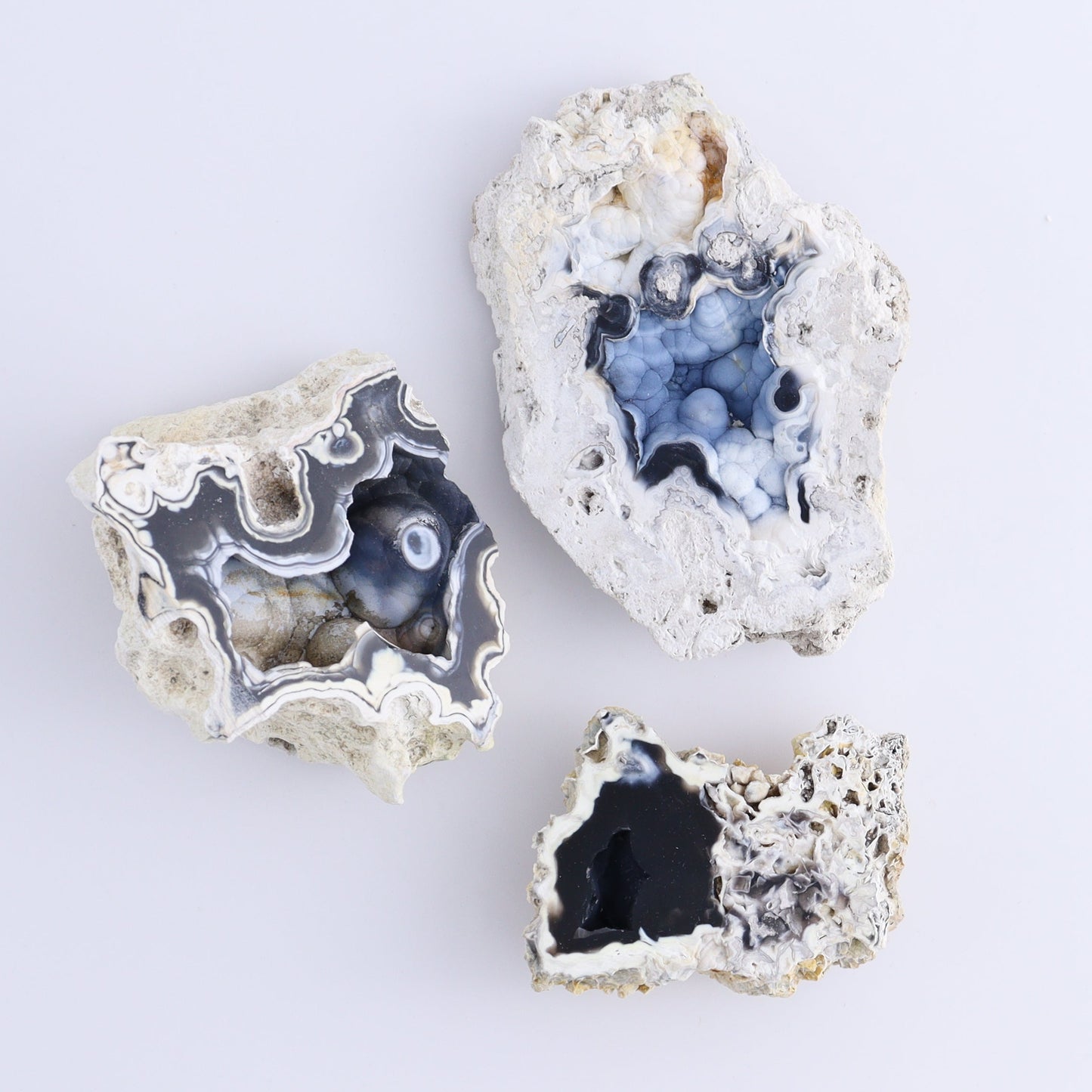 Agatized Coral Flat - Expert Wholesale and Supplier of Wholesale Crystals & Bulk Gemstones, ["Agate","Agatized Coral","Coral","United States"]