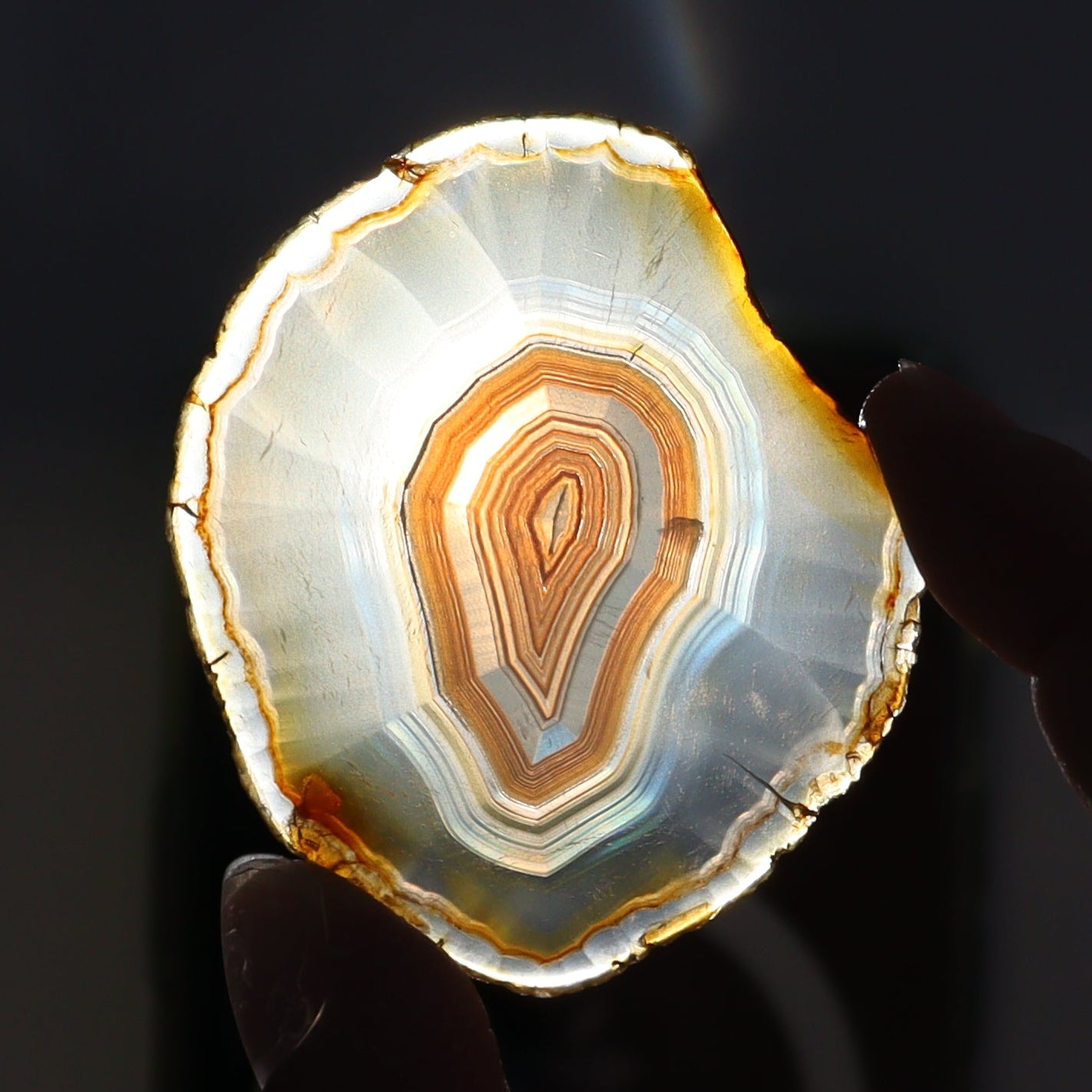 Iris Agate Slices Set of 9 - Expert Wholesale and Supplier of Wholesale Crystals & Bulk Gemstones, ["Agate","Iris Agate","Slices and Slabs"]