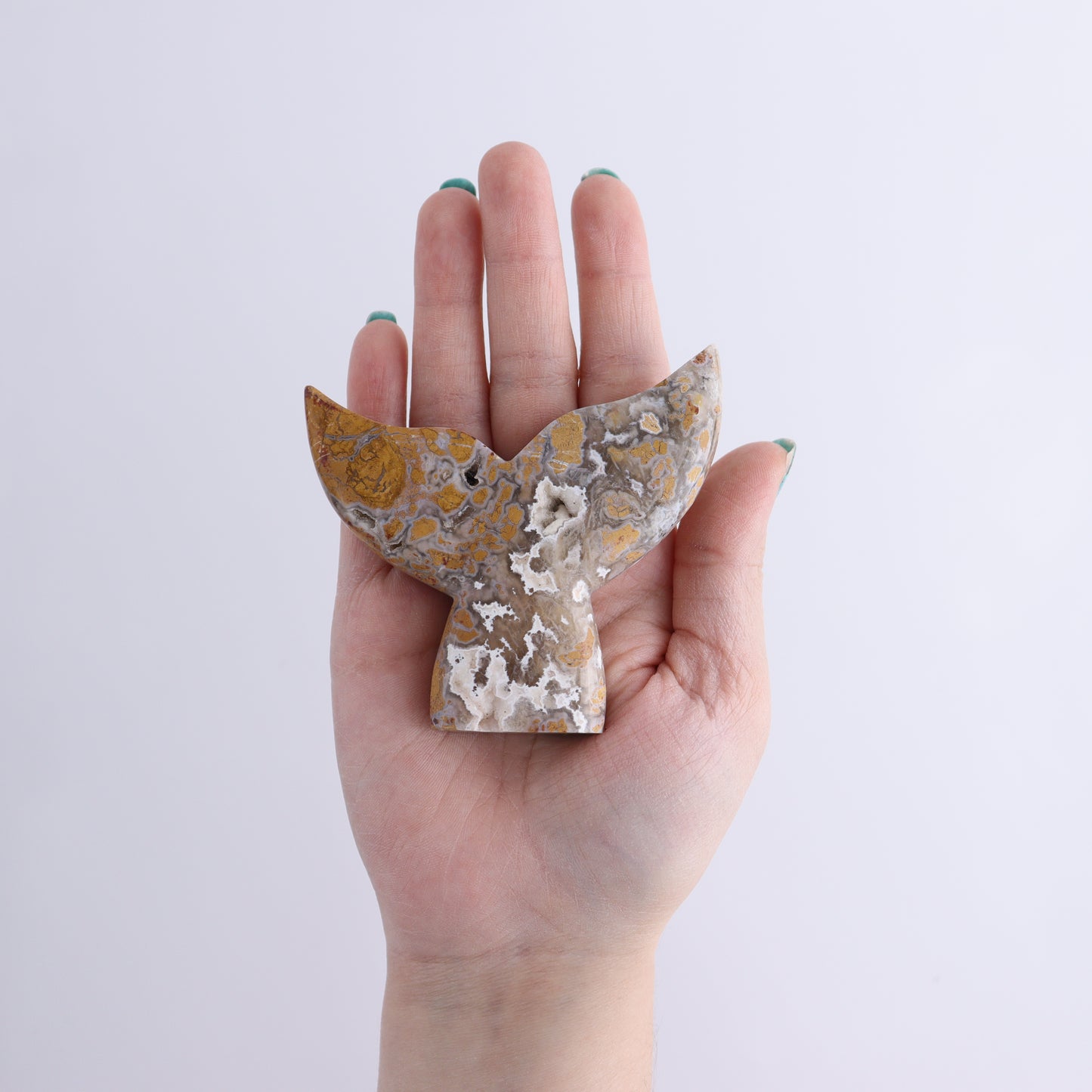 Brecciated Jasper Mermaid Tails Set of 6 - Expert Wholesale and Supplier of Wholesale Crystals & Bulk Gemstones, ["Brecciated Jasper","Indonesia","Mermaid Tail"]