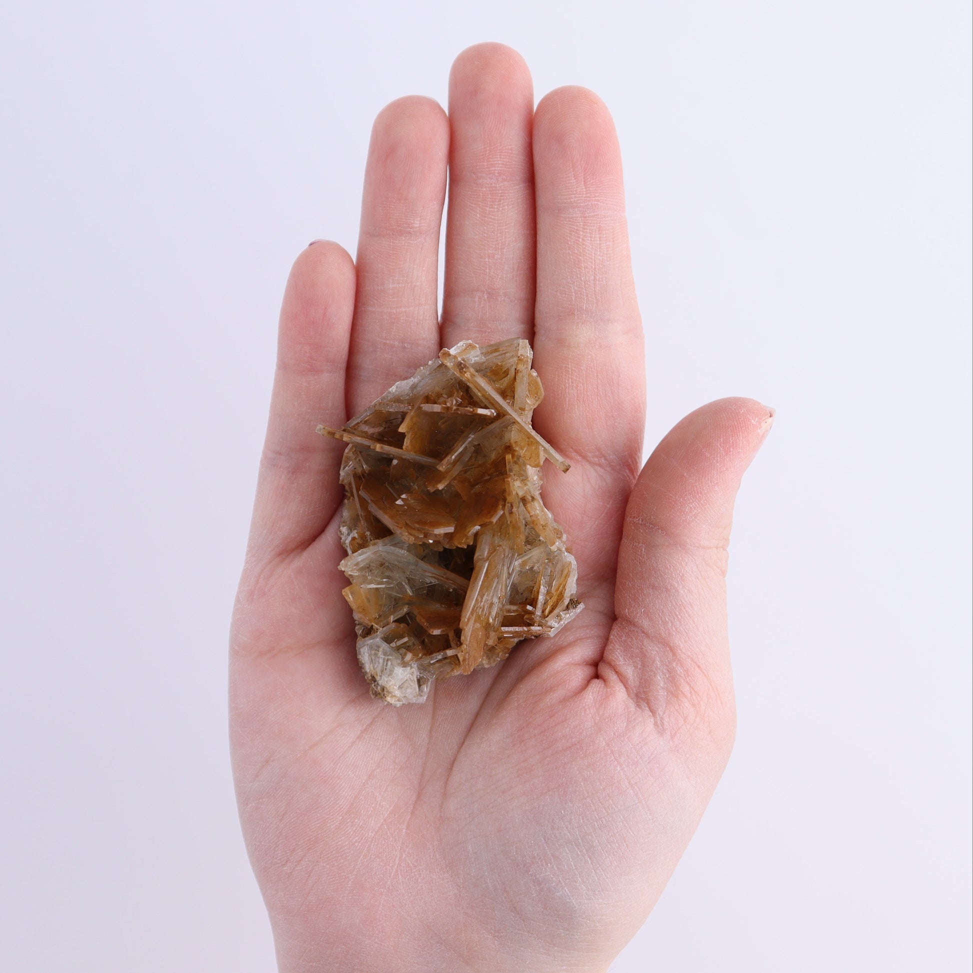 Brown Barite Flat from Morocco - Expert Wholesale and Supplier of Wholesale Crystals & Bulk Gemstones, ["Barite","Flats","Morocco"]