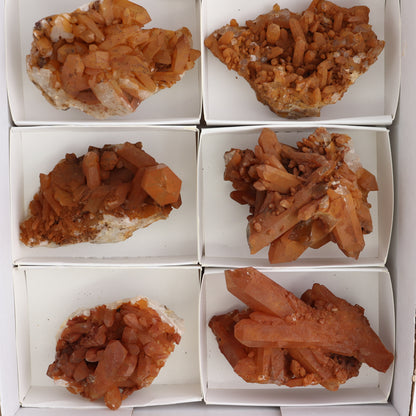 Dark Tangerine Quartz Clusters Set of 8 - Expert Wholesale and Supplier of Wholesale Crystals & Bulk Gemstones, ["Clusters","Quartz","Tangerine Quartz"]