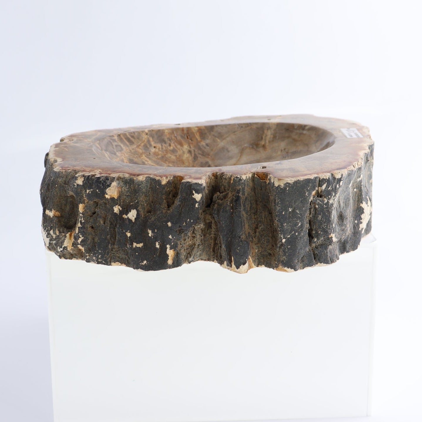 One Small Petrified Wood Brown Rough Bowl